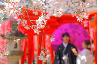 桜 和装ロケーション撮影