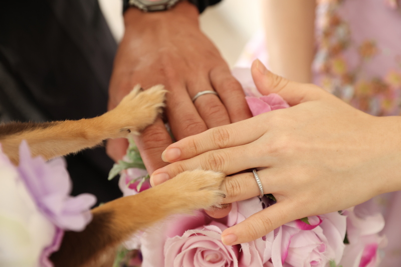 一緒に手元カット