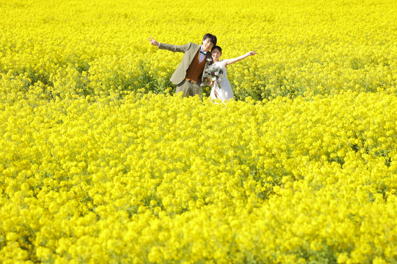 菜の花