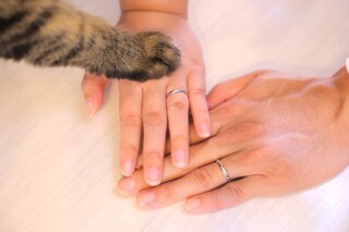 愛猫 洋装チャペル＆和装スタジオ撮影