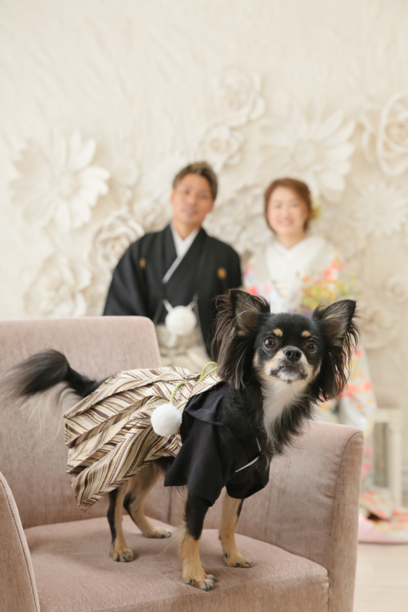 着こなしばっちり