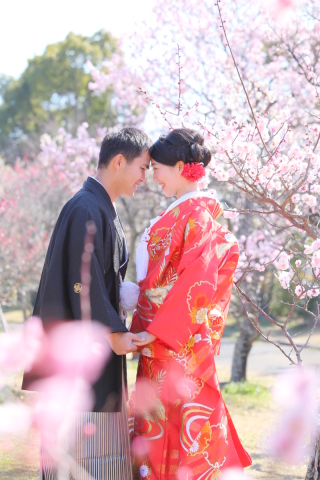 和装撮影　梅の花に囲まれて♡ 