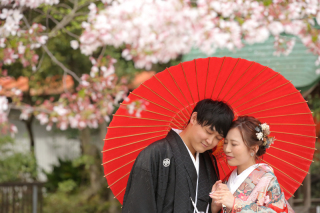 春の神社にて和装撮影