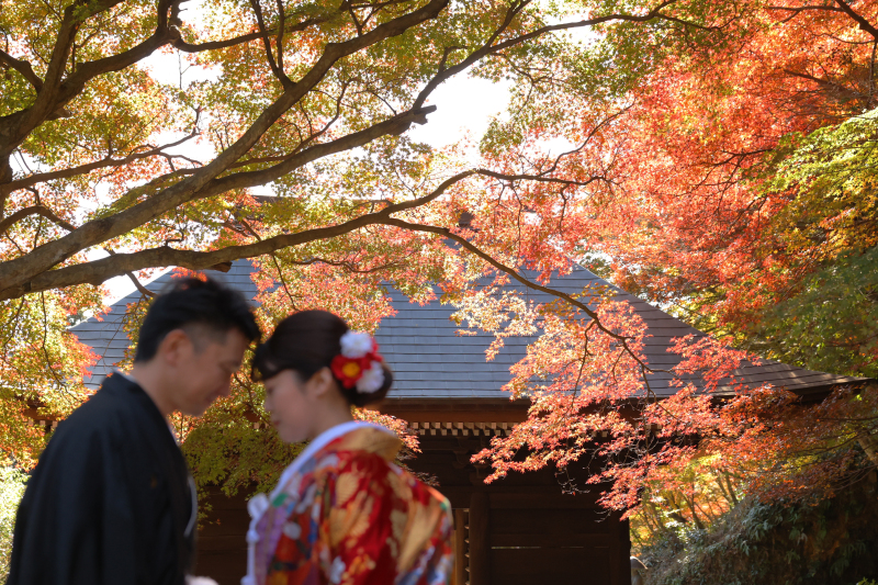 グラデーション