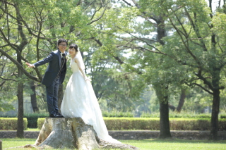 たくさんの緑に囲まれて公園ロケーション