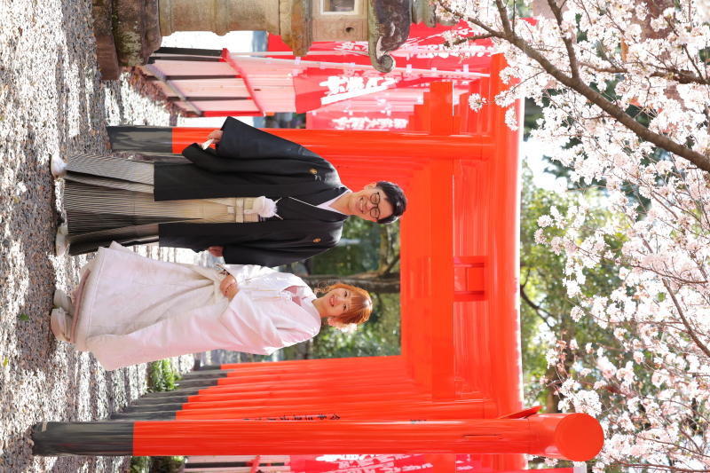 桜ロケーション