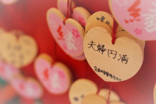 新緑が彩る季節に