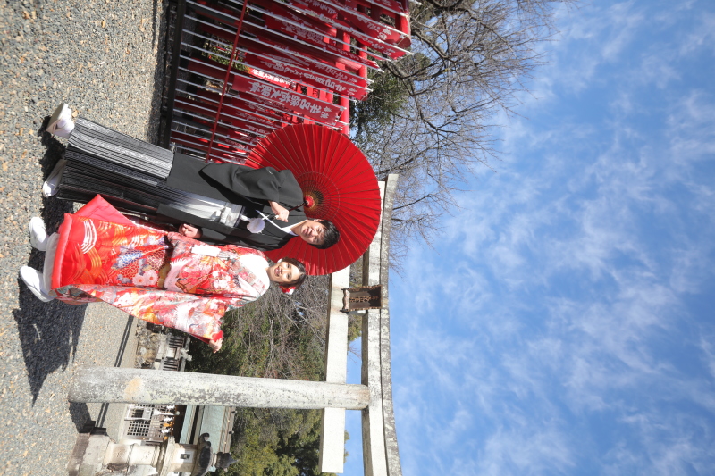 コントラストが素敵