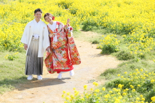 春のはじまりに、菜の花ロケーションフォト