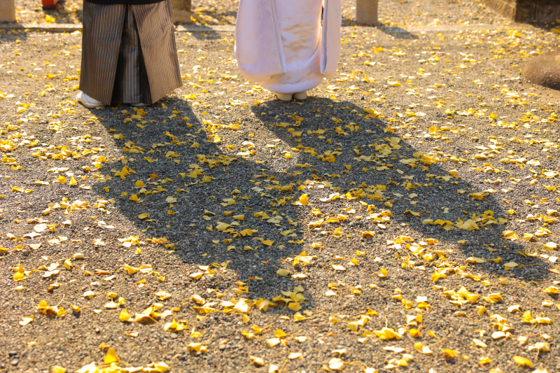 和装＆洋装 ロケーション撮影