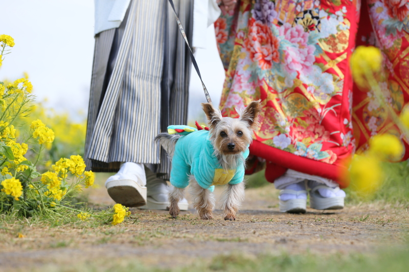 参加だわんっ!!