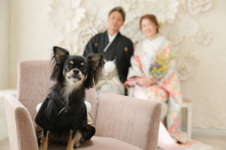 わんこと一緒！ スタジオ和装フォト 