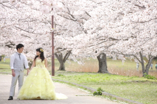 春のロケーションフォト