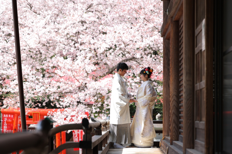 桜ロケスポット