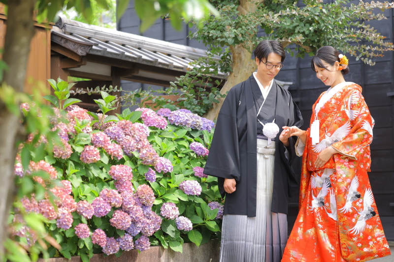 紫陽花