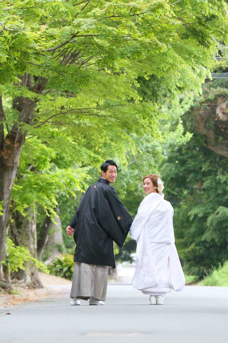 緑もキレイです♪