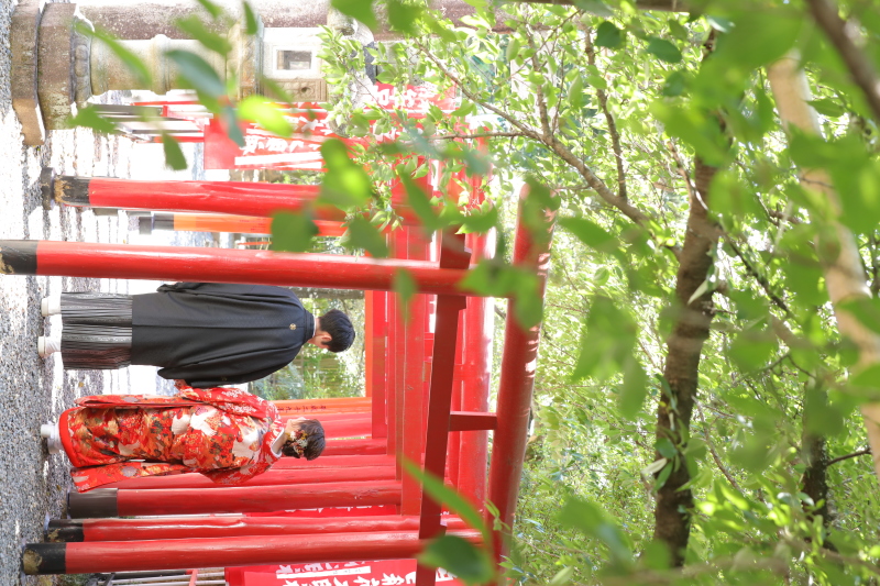 お散歩しながら