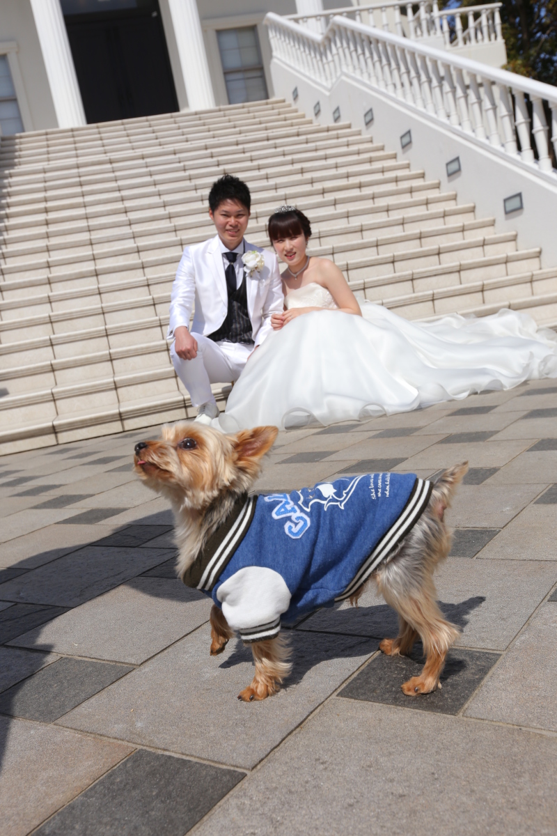愛犬と一緒に♪