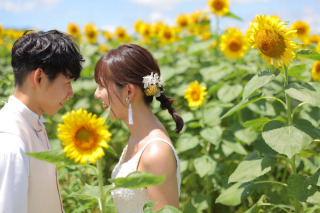 ひまわり＆海ロケーションフォト