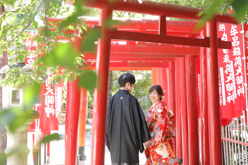 新緑と赤い鳥居のコントラスト