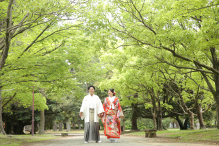 公園ロケーションフォト