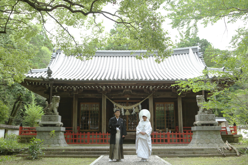 緑に囲まれた神社