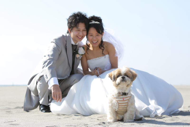 おめでたいワン