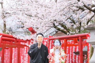 桜ウェディングフォト