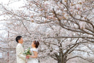 洋装2着 桜ロケーション＆スタジオ撮影