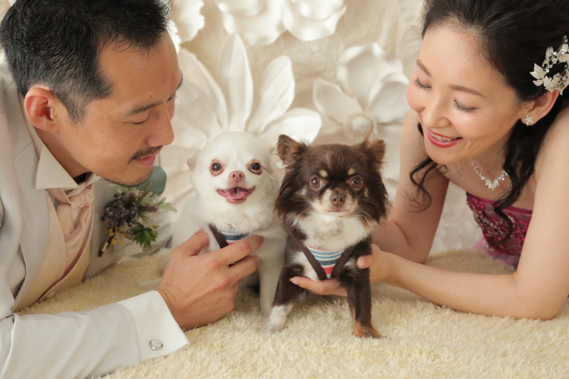 可愛いワンちゃんと一緒にフォトウェディング♪