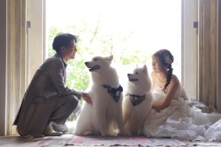 ホワイトベル豊橋