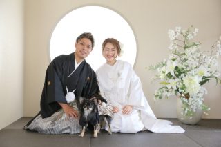 ホワイトベル豊橋