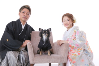 ホワイトベル豊橋