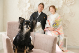 ホワイトベル豊橋