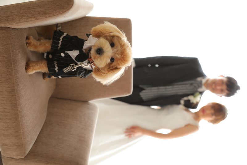 ホワイトベル豊橋_ペットと一緒に撮影できる