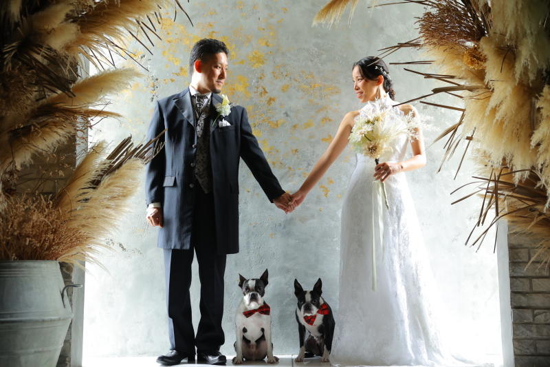 ホワイトベル豊橋_ペットと一緒に撮影できる