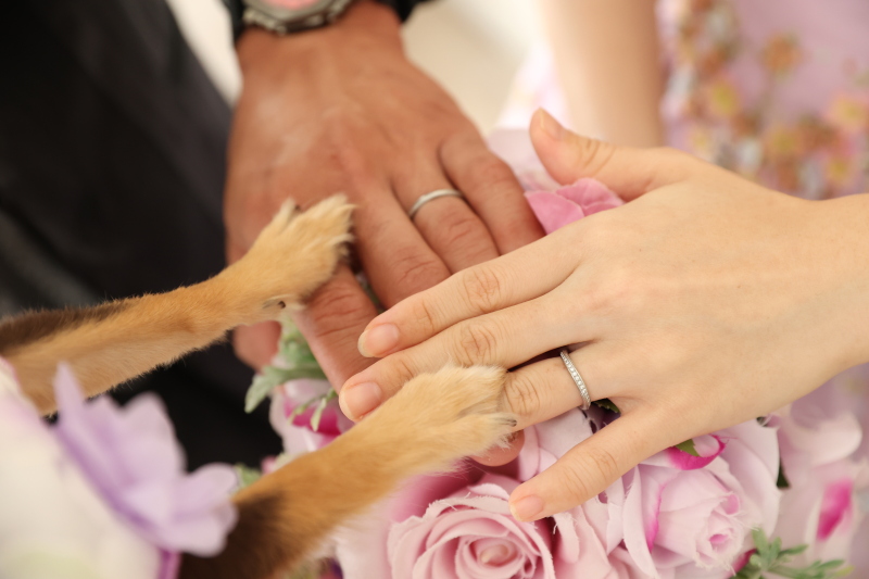 可愛いショットも残せます♪