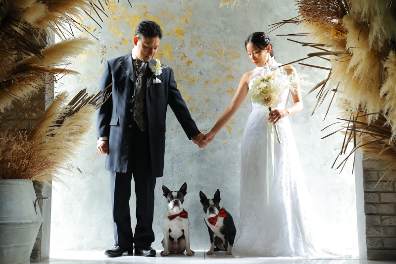 ペットと一緒に洋装チャペル&ガーデンフルコース+和装スタジオ 3万円キャッシュバック 全300データ即日渡し!