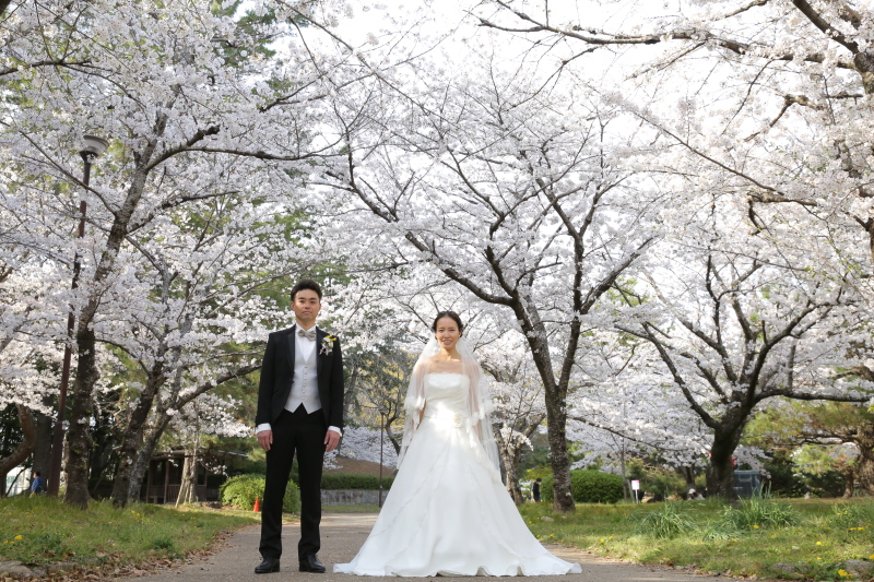 桜の名所幸公園洋装ロケーション 全300データ即日渡し&ウェルカムポスター付き!