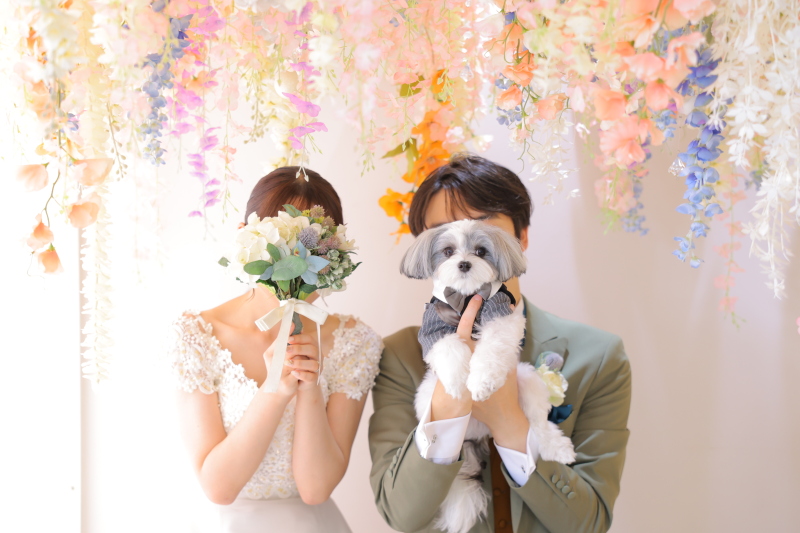 ペットと一緒に!データ1カット即日渡し&写真1枚付き!洋装スタジオ