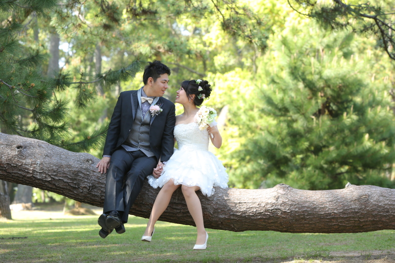 桜の名所幸公園洋装ロケーション 全300データ即日渡し&ウェルカムポスター付き!