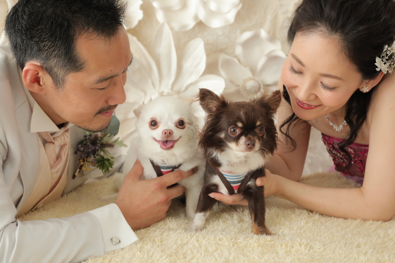 ペットと一緒に!データ1カット即日渡し&写真1枚付き!洋装スタジオ