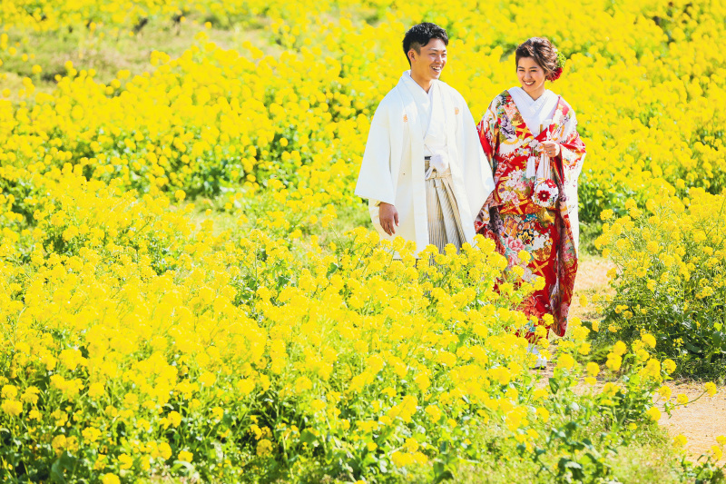 菜の花和装ロケーション 全300データ即日渡し&平日ウェルカムポスター付き!
