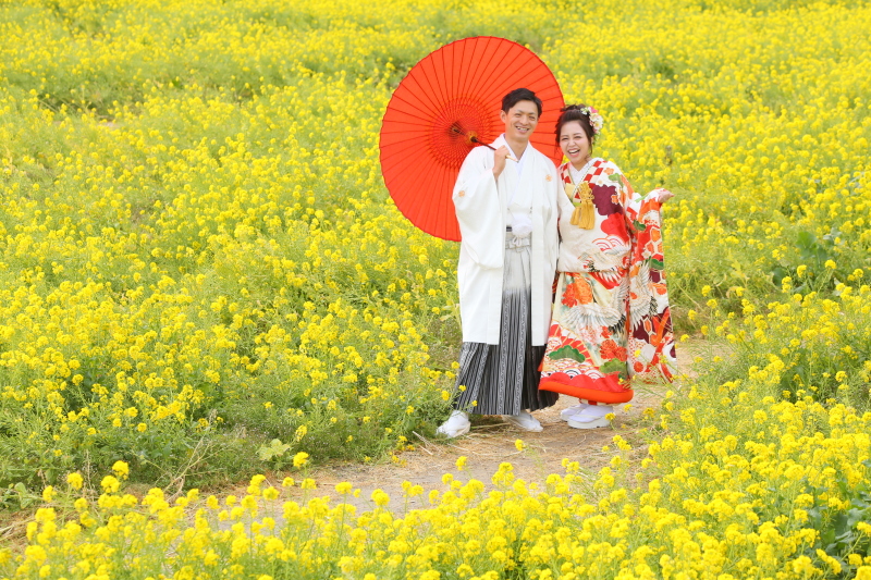 菜の花和装ロケーション 全300データ即日渡し&平日ウェルカムポスター付き!