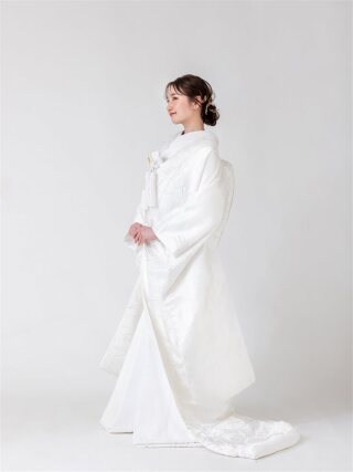 白SB-231 鶴に扇面 