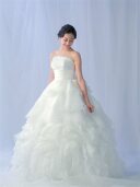 plumeria ﾌﾟﾙﾒﾘｱ