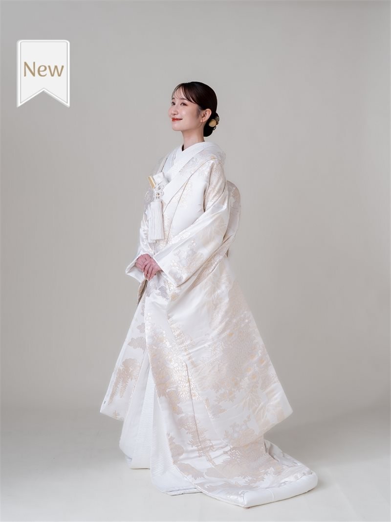 白 献上疋田彩華文 
