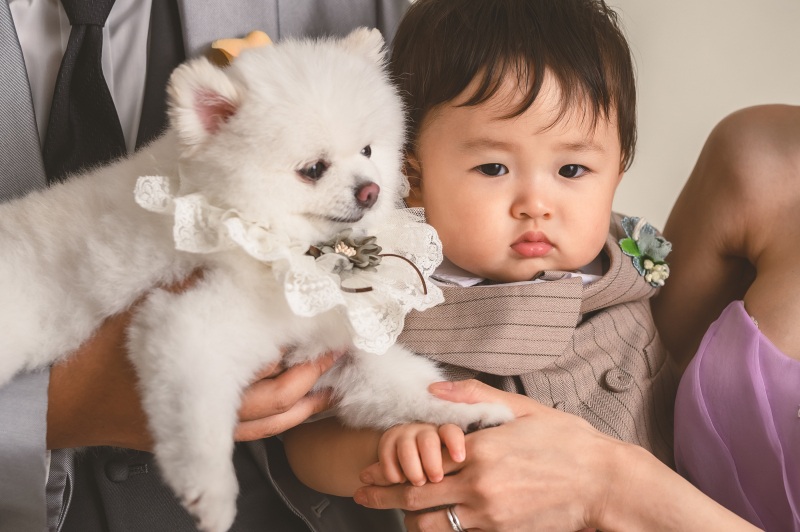 わんこと男の子をクローズアップして