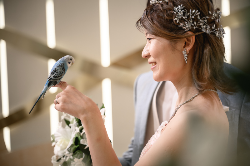 ペットのセキセイインコもご一緒に