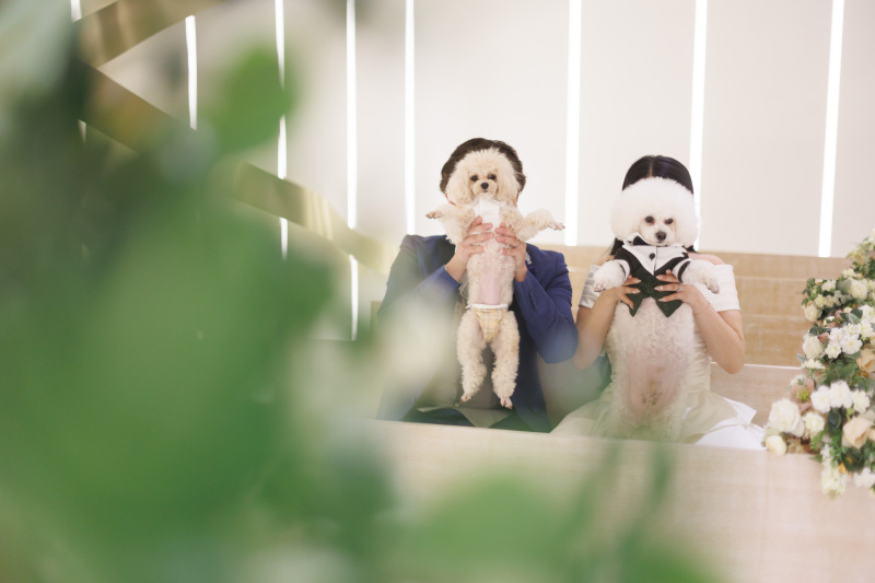 お二人のお顔はどこに?!